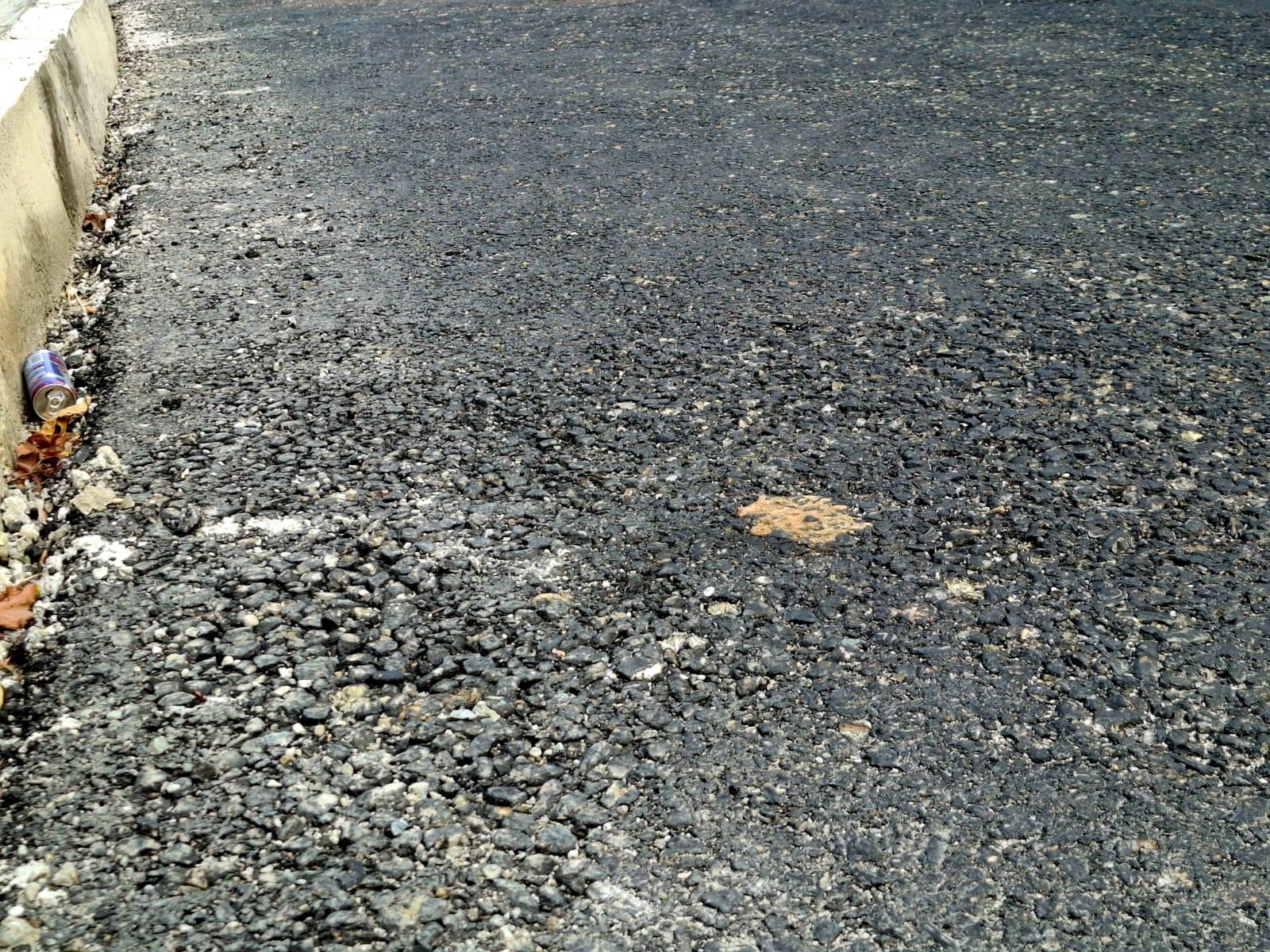 IMG-20241204-WA0013